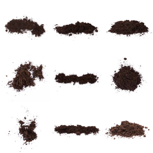 istock Patch of soil or mud isolated on white background 1197669460