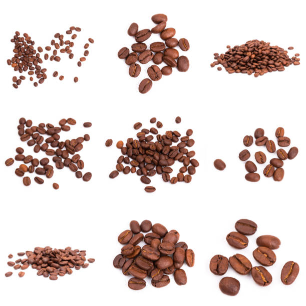istock set of roasted coffee beans. Isolated on a white background. 1197669507