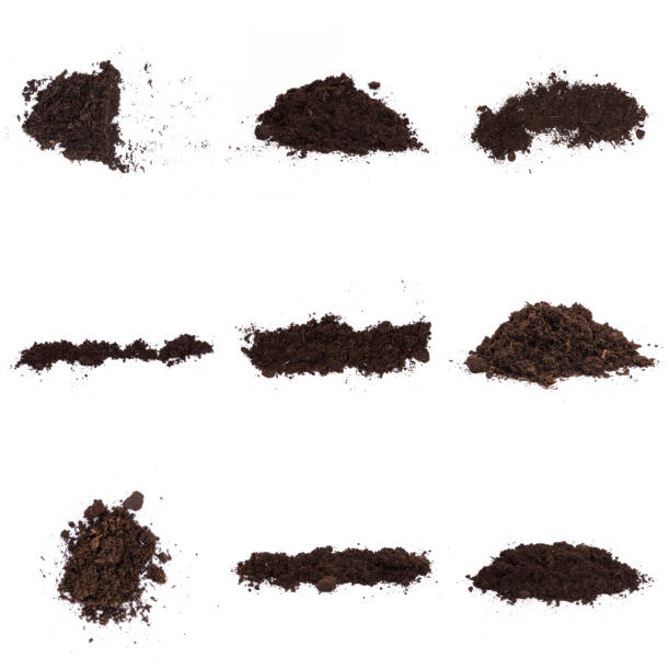 istock Patch of soil or mud isolated on white background 1197670218