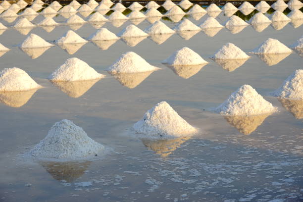 Sea salt arranged in pile