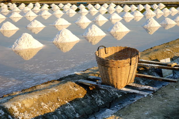 White sea salt in bamboo basket