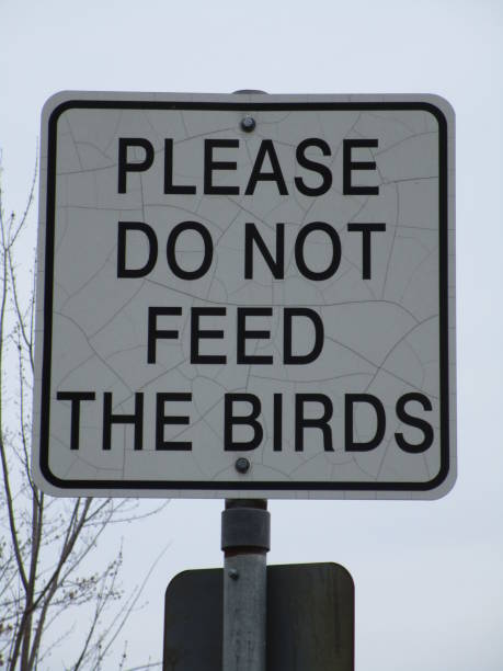 istock Do Not Feed the Birds Sign 1197671779