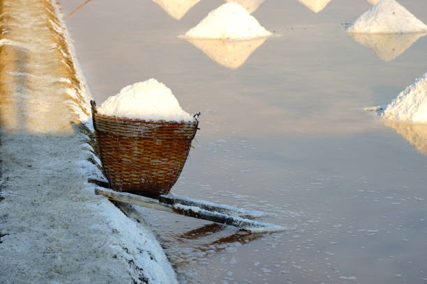 White sea salt in bamboo basket