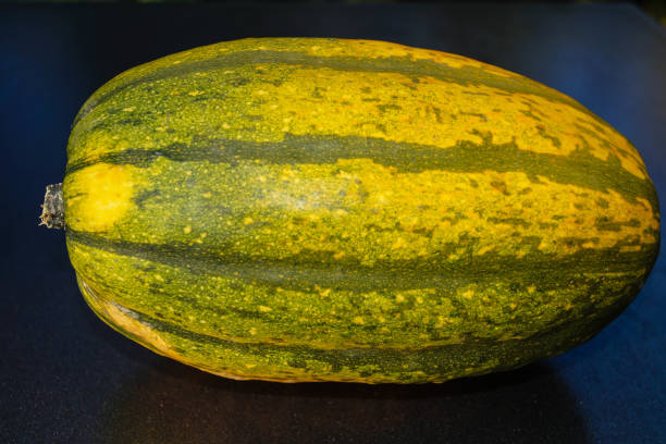 istock Cucurbita pepo spaghetti pumpkin 1197672898