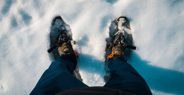istock Mountain Avaro,Alps Italy 1197673014