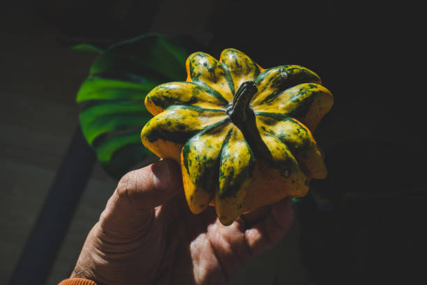 istock Small star shaped orange pumpkin in man hands 1197673949