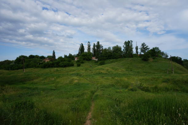 istock Natural landscape. Green vegetation, trees, meadows and fields. 1197674027