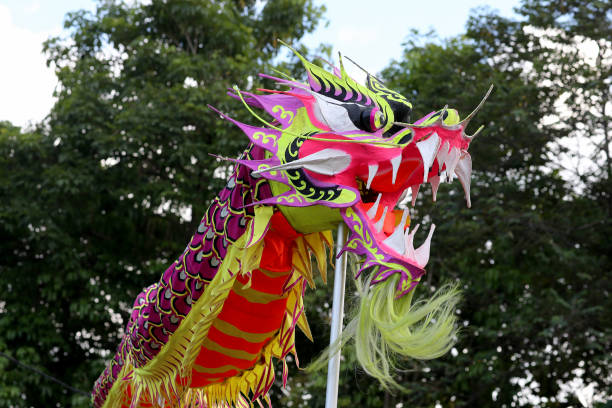 istock Chinese New Year - Dragon Dance 1197674378