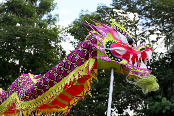 istock Chinese New Year - Dragon Dance 1197674379
