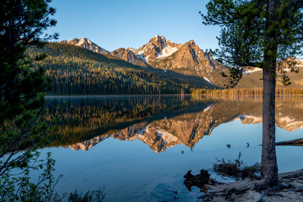 istock Mountain lake reflection surrounded by green healthy forest 1197678215