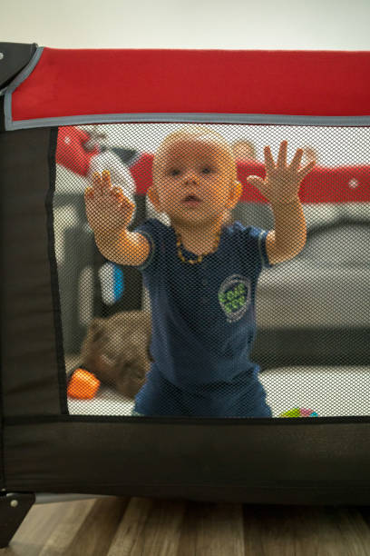 istock baby playing with ball behind safety gates 1197678352