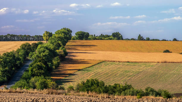 istock Fields and road surrounded by trees in a hilly area. 1197678373