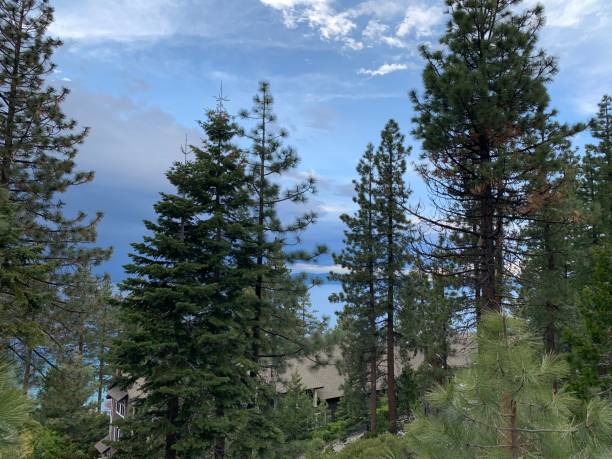istock South Lake Tahoe Summer 1197678482