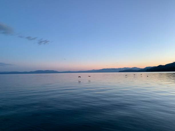 istock South Lake Tahoe Summer 1197679065