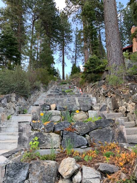 istock South Lake Tahoe Summer 1197679703
