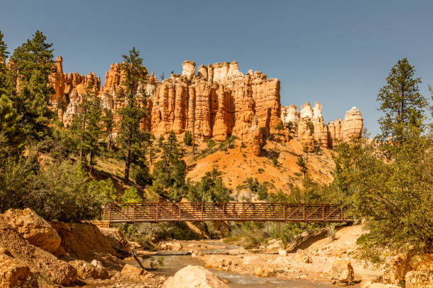 View from mossy cave on the Bryce Canyon