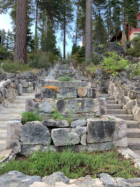 istock South Lake Tahoe Summer 1197679766