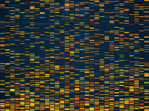 ゲノム可視化。dnaゲノムシーケンシングデータ解析。デジタルインターネット技術、バイオインフォマティクス試験染色体ベクターコンセプト - genealogy research点のイラスト素材／クリップアート素材／マンガ素材／アイコン素材