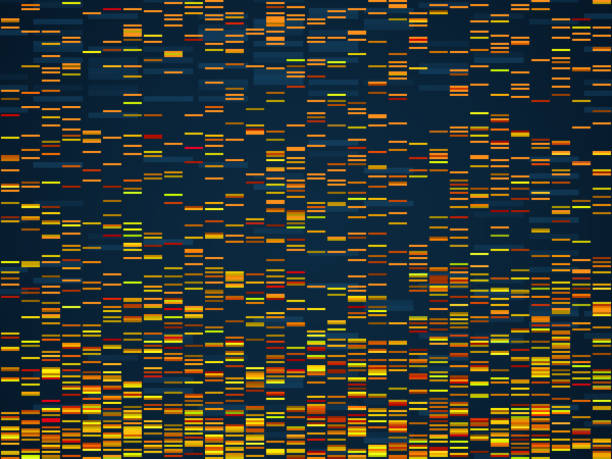 Genomic visualization. Dna genomes sequencing data analysis. Digital internet technology, bioinformatics testing chromosome vector concept Genomic visualization. Dna genomes sequencing data analysis. Digital internet technology, bioinformatics testing chromosome vector visual texture sequence concept bioinformatics stock illustrations