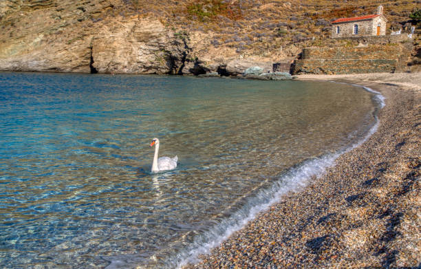 The beach of Achla, Andros, Cyclades, Greece The beach of Achla and Saint Nikolaos church on the island of Andros, Cyclades, Greece andros island stock pictures, royalty-free photos & images