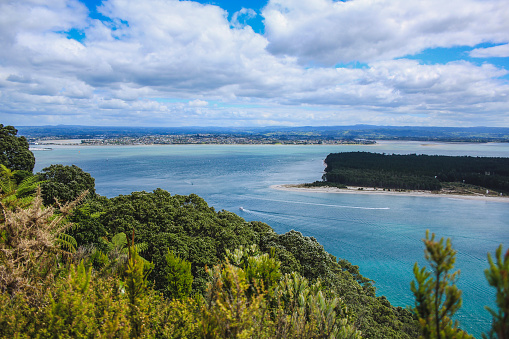 beautiful and idyllic landscape in New Zealand