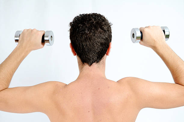 휘트니스, 젊은 남자 등근육 리프팅 웨이트 - weights human arm male beauty sport 뉴스 사진 이미지