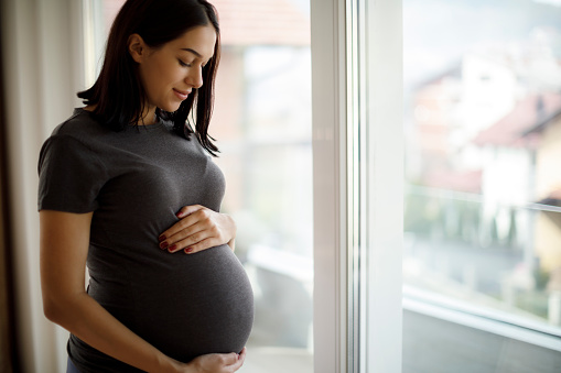 Retrato de joven embarazada feliz de pie junto a la ventana photo