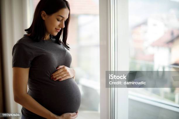 Portrait Of Young Happy Pregnant Woman Standing By The Window Stock Photo - Download Image Now