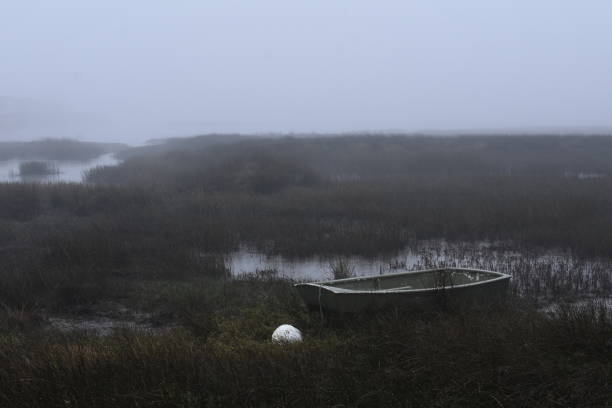 oyster farming port and ares marsh on the Arcachon basin