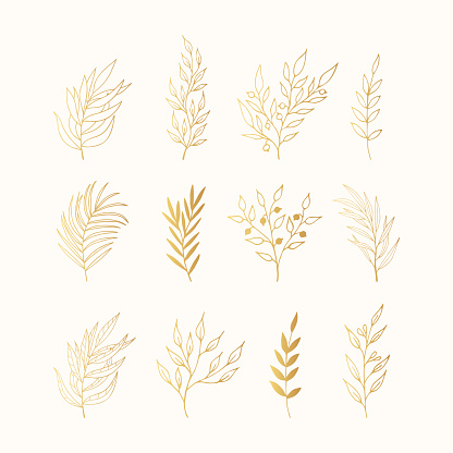 Set of golden floral design branches. Gold decoration elements for invitation, wedding cards, christmas, greeting cards. Vector isolated.