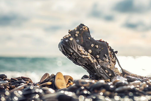 Concept of environmental protection and pollution. An old Shoe, covered with shells, lies with its nose in the coastal rocks. Copy space. The ocean and sky are in the background.