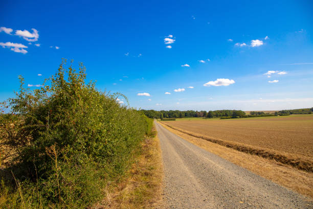 istock Dirt road with embankment, trees, bright blue sky and small clouds 1197699362
