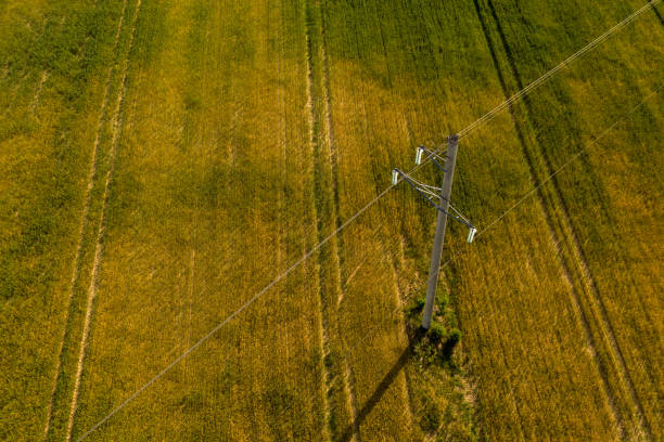 istock Drone view of electric pole during summer day 1197699406