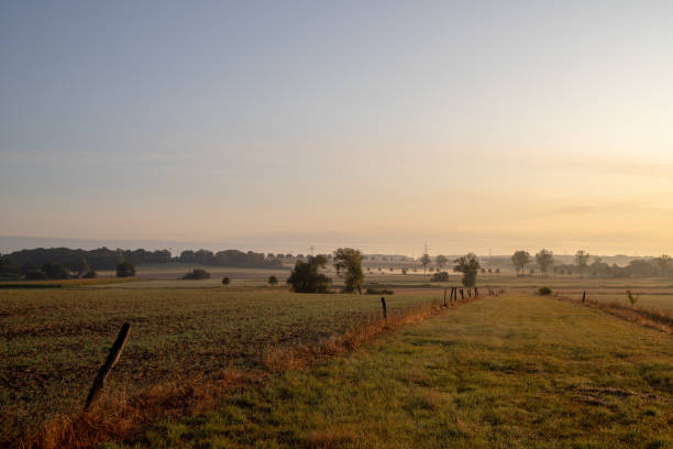 istock Panoramic picture of a field with blue sky and small white clouds 1197699583