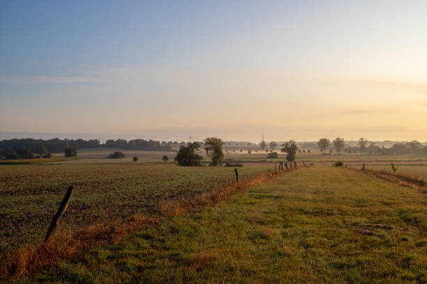 istock Panoramic picture of a field with blue sky and small white clouds 1197699686