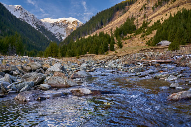 istock Winter landscape in the mountains 1197700784