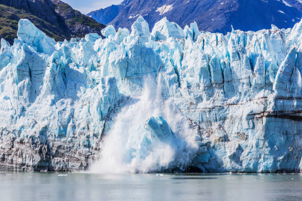 bahía glaciar, alaska. - glacier bay national park fotografías e imágenes de stock