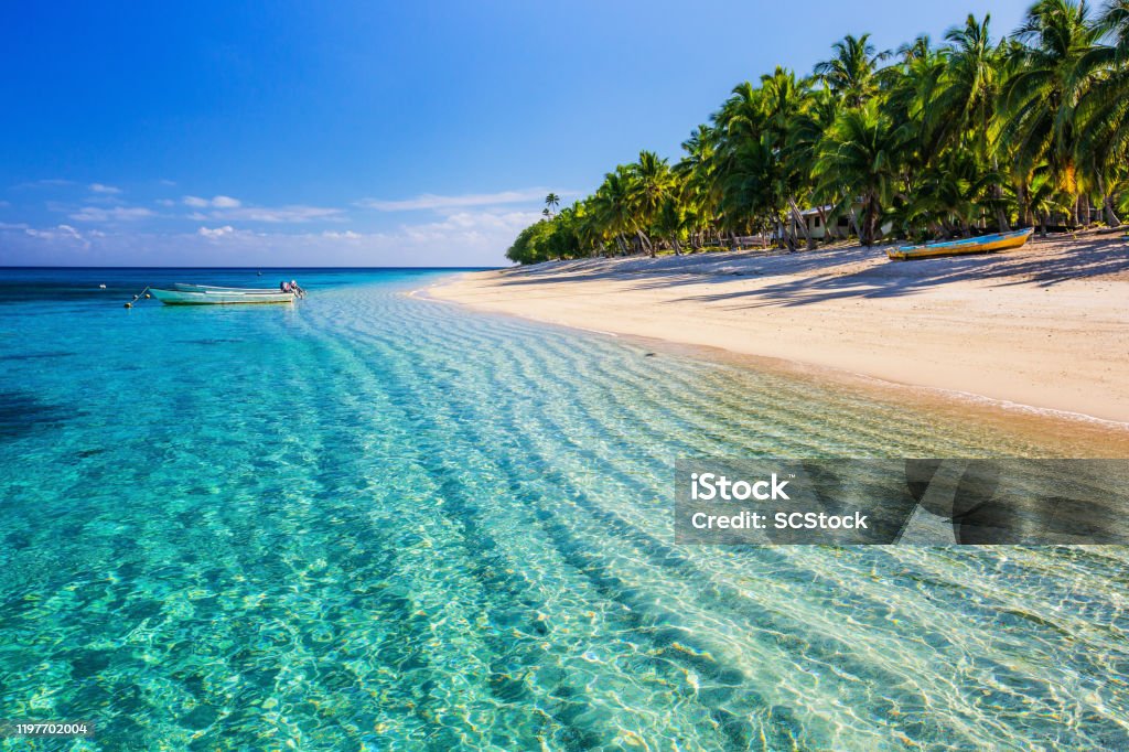 Dravuni Island, Fiji. Dravuni Island, Fiji. Beach on the tropical islandand clear turquoise water. Fiji Stock Photo