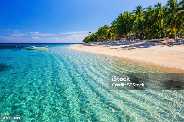 Download Dravuni Island Fiji Stock Photo