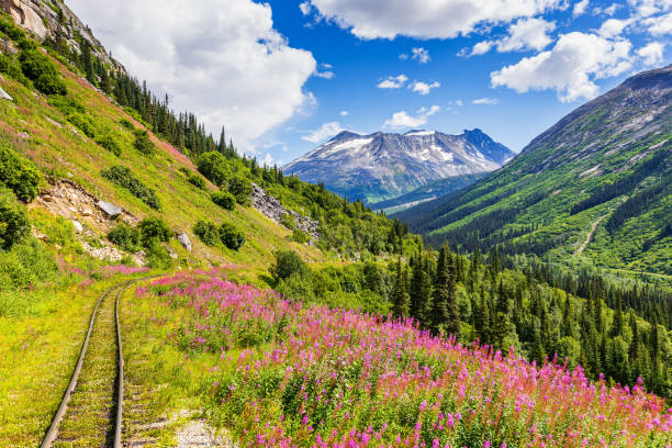 skagway, alasca. - klondike river - fotografias e filmes do acervo