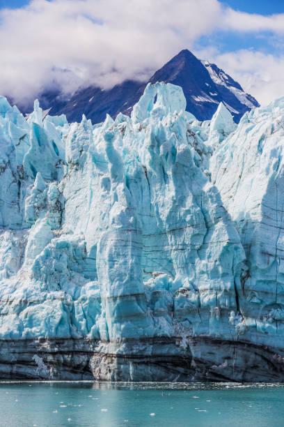 알래스카, 빙하 베이. - glacier bay national park 뉴스 사진 이미지