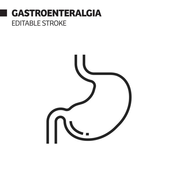 illustrations, cliparts, dessins animés et icônes de icône de ligne de gastroentérologie, illustration de symbole de vecteur de dérato. pixel perfect, avc modifiable. - estomac