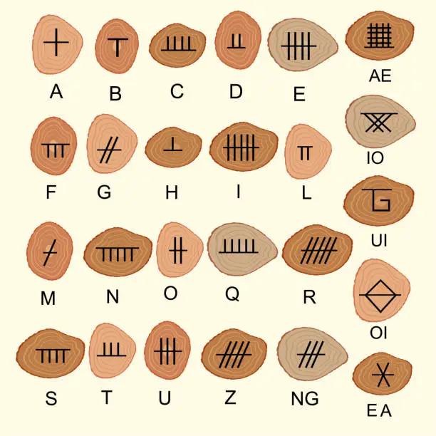 Vector illustration of Set of old sacred celtic Ogham alphabet carved in wood. Ancient occult symbols,  on white. Vector illustration.