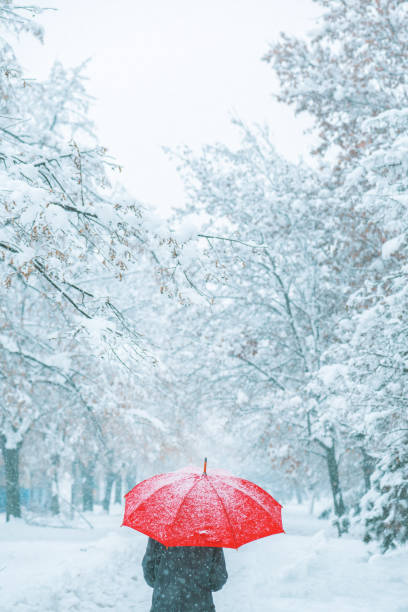 istock Woman under red umbrella in snow 1197704363