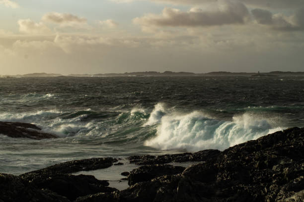 istock Big waves hitting shores after winter storm 1197705492