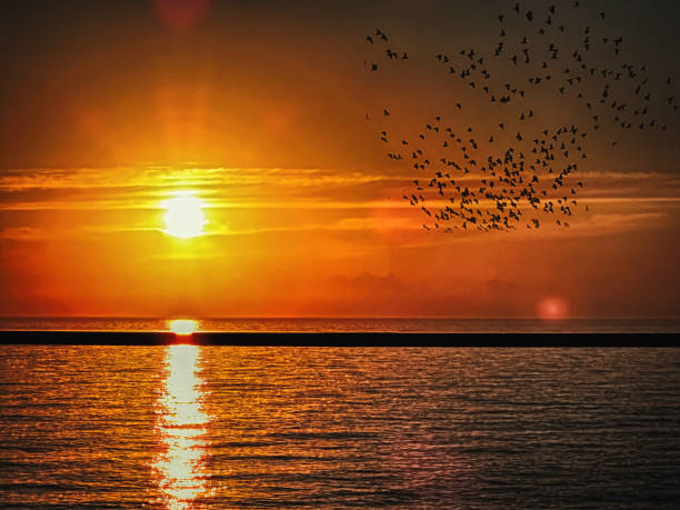 istock Sunset only with sea and sky 1197706586