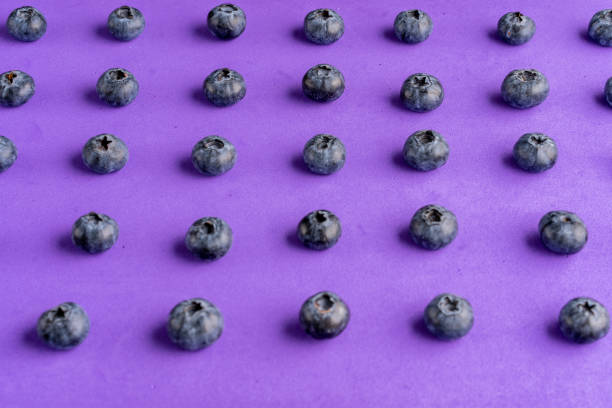 Colorful fruit pattern of blueberries on purple background. Top view. Flat lay