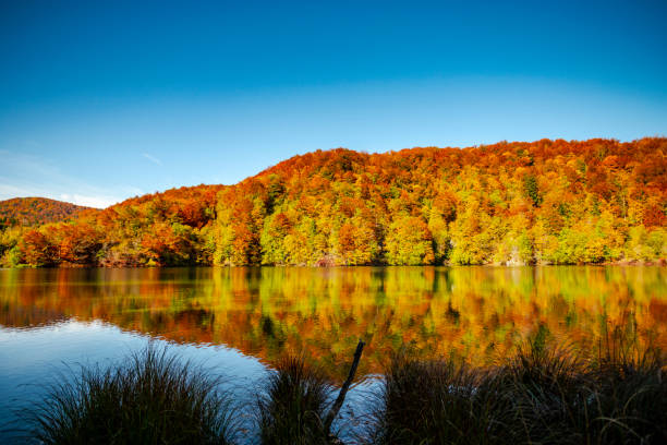 istock Amazing mountain lake, Plitvice 1197709944