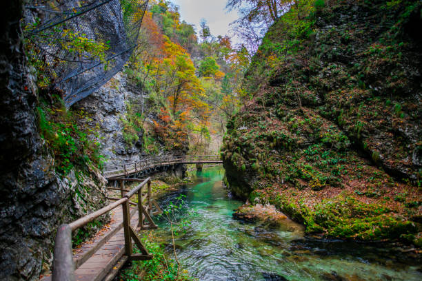 istock Autumn landscape in the wild river gorge 1197710954