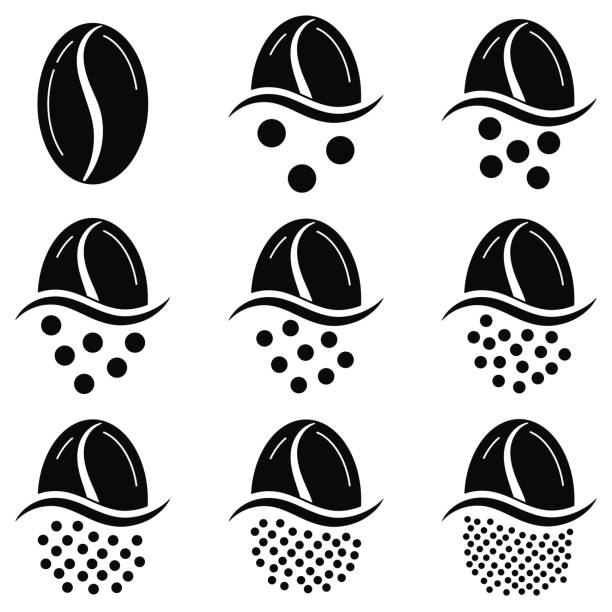 ilustrações de stock, clip art, desenhos animados e ícones de coffee grind size chart grains icon set isolated on white background. - grinding